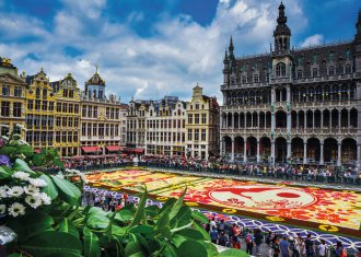 Blumenteppich in Brüssel