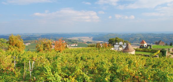 Blick über die Weinberge bei Riegersburg © bonline-fotolia.com