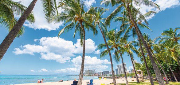 Strand von O' ahu © rakiraki-fotolia.com