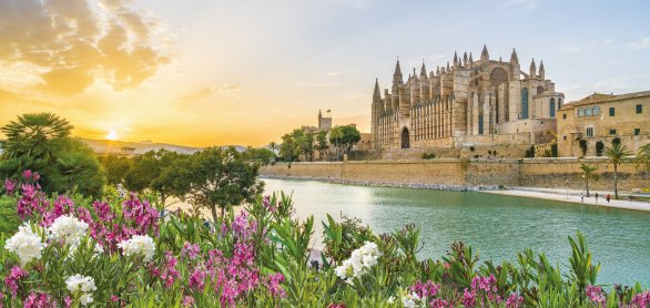 Kathedrale in Palma &copy; Balate Dorin-stock.adobe.com