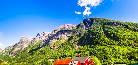 am Sognefjord  © streetflash - stock.adobe.com