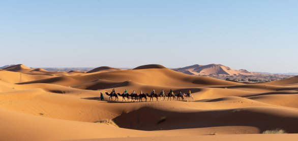 Wüstensafari in der Sahara &copy; Suzanne Plumette - stock.adobe.com