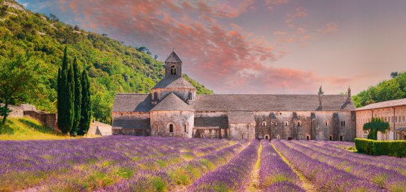 Lavendelfelder vor der Abtei Senanque &copy; Grigory Bruev - stock.adobe.com