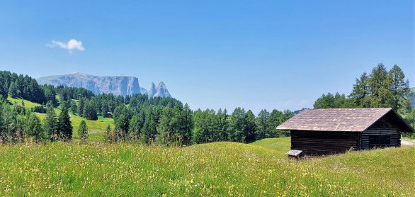 Seiser Alm, Südtirol mit Blick auf Schlern &copy; Sabine Rabenberger