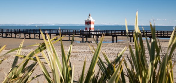 Küste von Lignano &copy; Riccardo Zen Ph. - stock.adobe.com