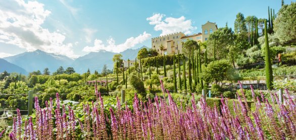 Gärten von Schloss Trauttmansdorff &copy; Philip Unterholzner