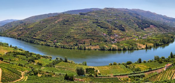Weinbau am Rio Douro, Portugal &copy; estivillml - stock.adobe.com